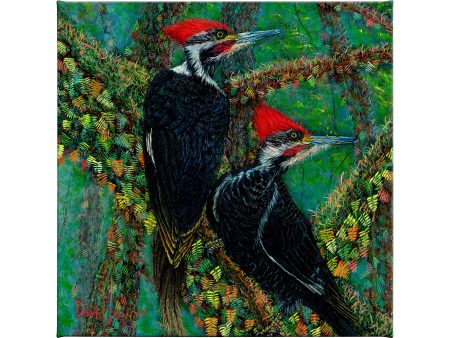 Woodpeckers in the Mist - 14  x 14  Gallery Wrapped Canvas Online