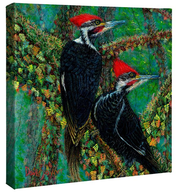 Woodpeckers in the Mist - 14  x 14  Gallery Wrapped Canvas Online