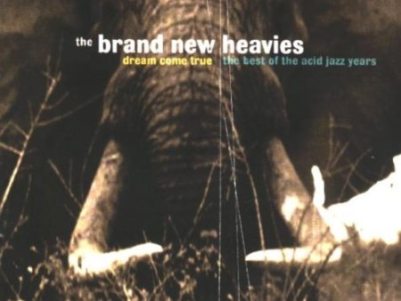 BRAND NEW HEAVIES - DREAM COME TRUE: BEST OF THE A Supply